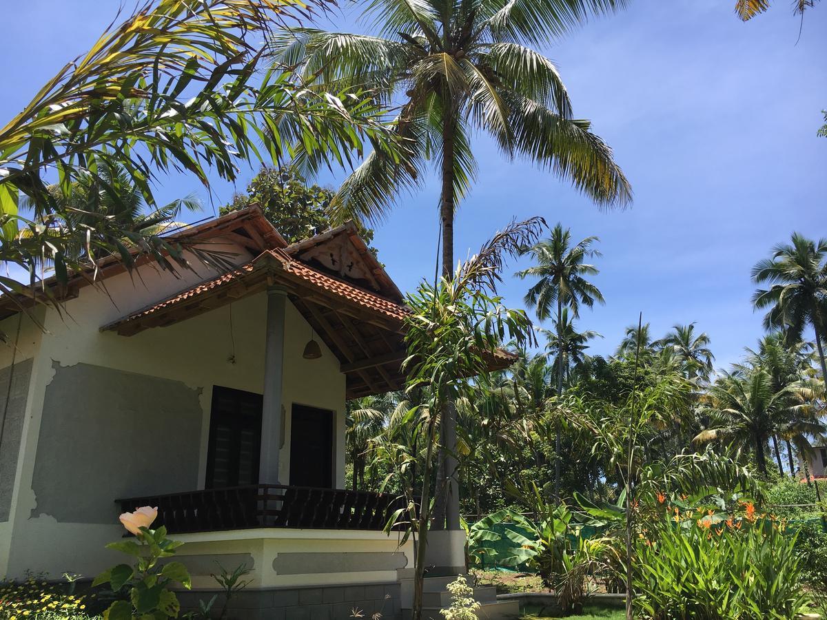 Divine Bliss Beach Resort Varkala Exterior foto