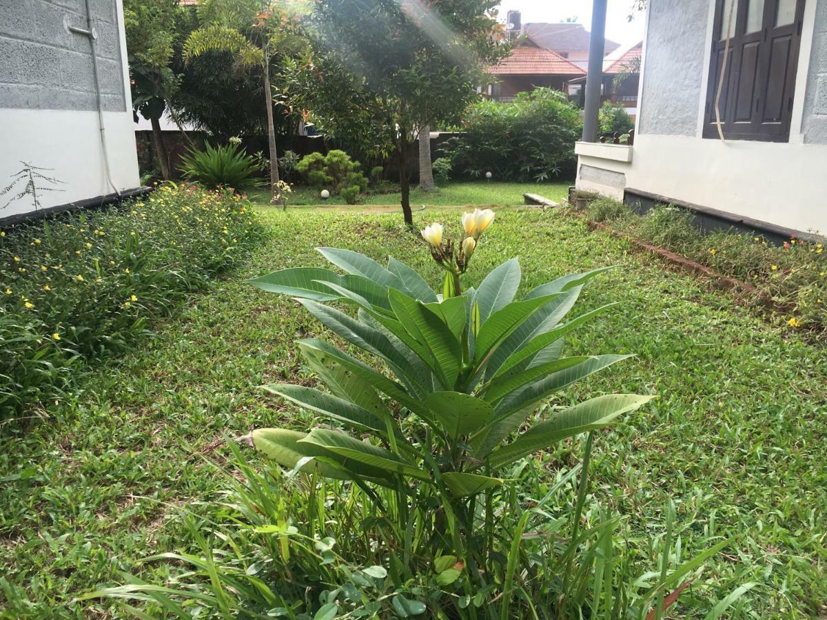 Divine Bliss Beach Resort Varkala Exterior foto
